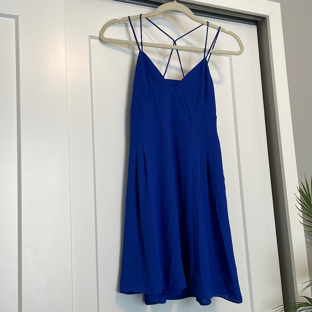 Express Skater dress